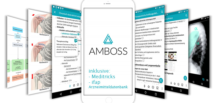 AMBOSS