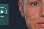 Complete Anatomy