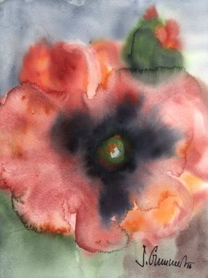 Gummert-Mohn