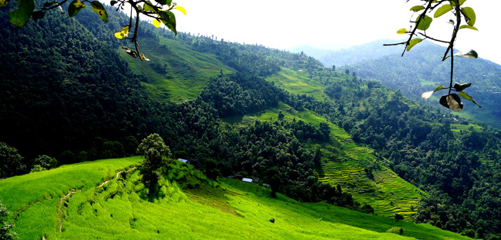 Nepal-Landschaft-mit-Reisfeldern